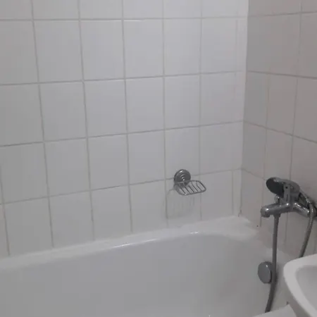 Garsoniera Nord- Sandu Apartment *