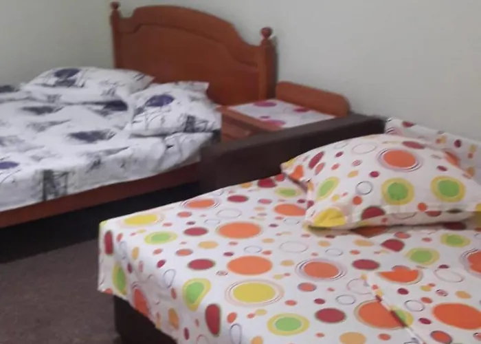 Garsoniera Nord- Sandu エフォリエ・ノルド