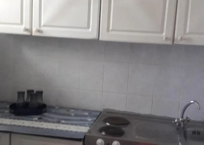 Garsoniera Nord- Sandu エフォリエ・ノルド